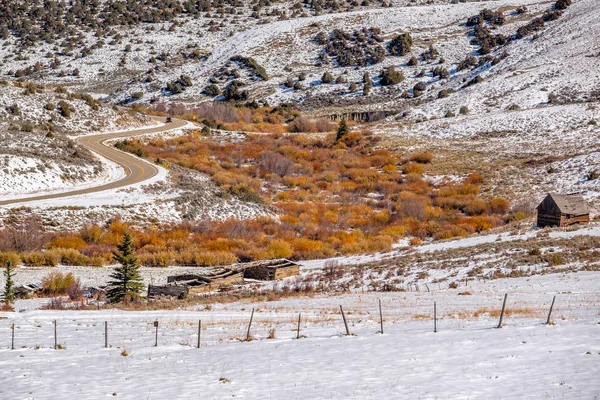 Premiers arbres de neige et d'automne le long de l'autoroute humide — Photo