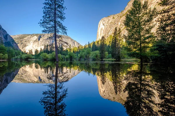 Lago con reflejo de árboles — Foto de Stock