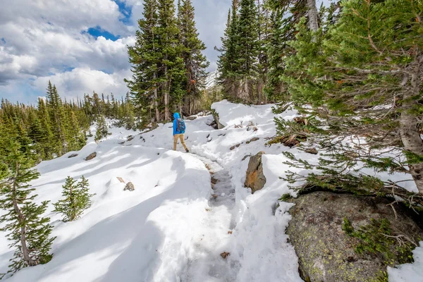 Turista com mochila caminhadas em trilha nevada — Fotografia de Stock