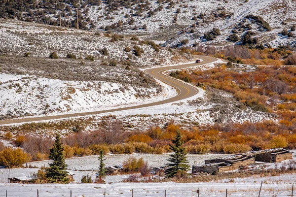 First snow and autumn trees — Stock Photo, Image