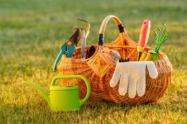 Attrezzi da giardinaggio in cesto di vimini — Foto Stock