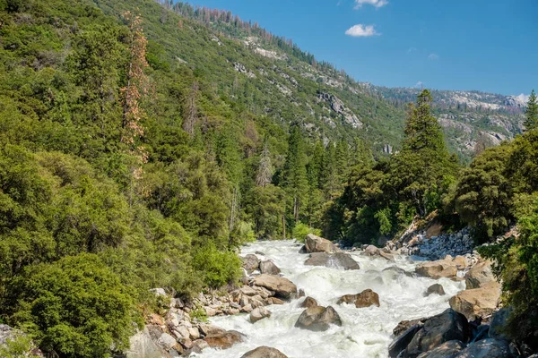 Yeşil ağaçlarıyla çevrili dağ Nehri — Stok fotoğraf