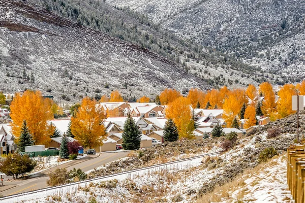 Prima neve e alberi autunnali — Foto Stock