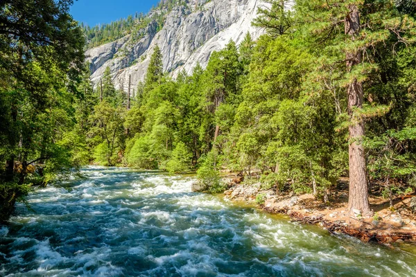 Dağ nehir ve yeşil ağaçlar — Stok fotoğraf