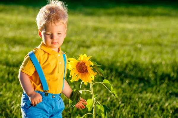 Baby boy with sunflower — Stock Photo, Image