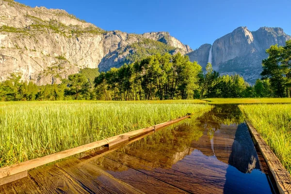 Meadow with flooded boardwalk — Stock Photo, Image