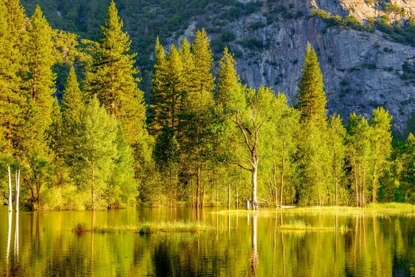 Lake with trees reflection