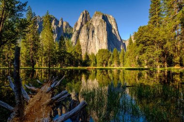 Yosemite National Park  clipart