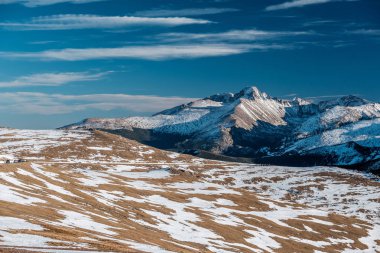 yüksek Alpin tundra