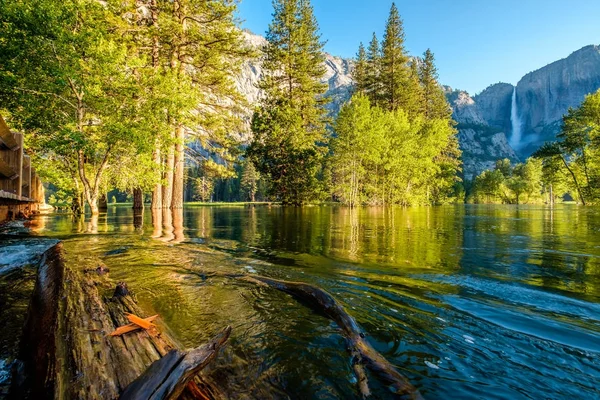 Yosemite National Park — Stock Photo, Image