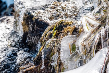 Icicles on Timberline Falls waterfall clipart