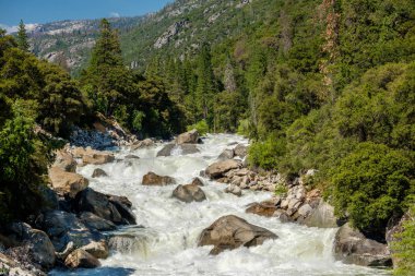 Merced River manzara