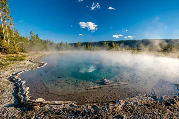 Thermal spring in Yellowstone — Stock Photo, Image