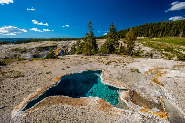 Thermal spring in Yellowstone — Stock Photo, Image
