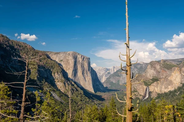 Yosemite Ulusal Parkı — Stok fotoğraf