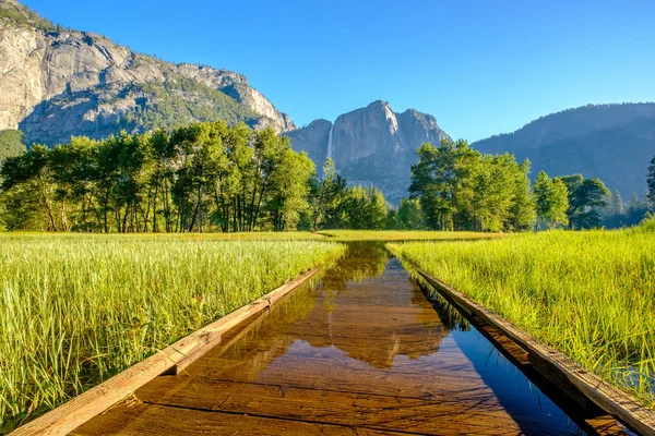 Meadow with flooded boardwalk — Stock Photo, Image