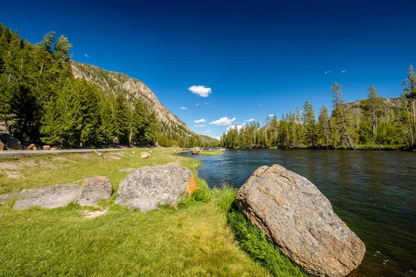 Madison River in Yellowstone — Stock Photo, Image