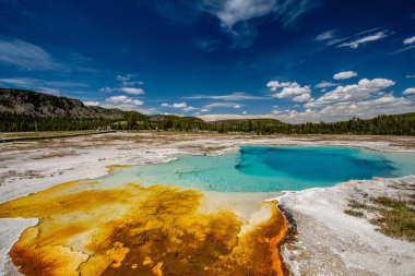 Sıcak termal bahar Yellowstone içinde 