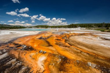 Sıcak termal bahar Yellowstone içinde 