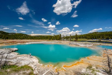 Sıcak termal bahar Yellowstone içinde 