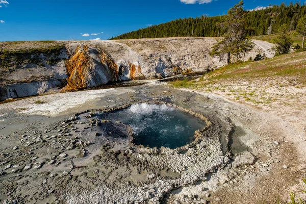 thermal spring in Yellowstone
