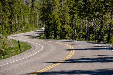 Yellowstone Ulusal Parkı Otoyolu, Wyoming, ABD