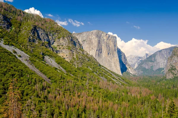 Κοιλάδα Yosemite εθνικό πάρκο τοπίο του καλοκαιριού — Φωτογραφία Αρχείου