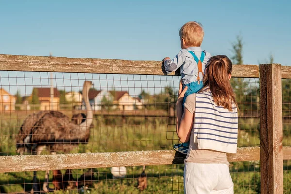 Frau Und Kind Auf Dem Bauernhof Beim Anblick Von Strauß — Stockfoto