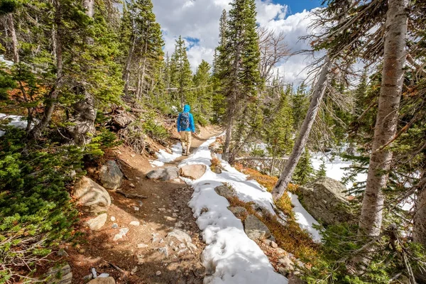 Turista Com Mochila Caminhando Trilha Nevada Parque Nacional Montanha Rochosa — Fotografia de Stock