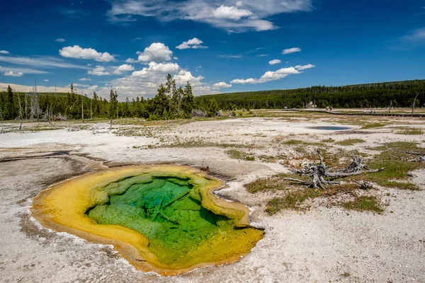 Sıcak termal bahar Yellowstone içinde — Stok fotoğraf
