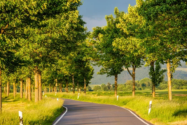 农村公路之间字段在温暖的阳光下戏剧性的天空 清新明艳的色彩 在德国莱茵河谷 莱茵河峡谷 — 图库照片