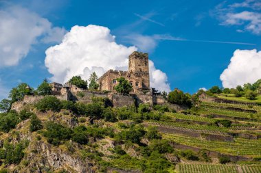 Gutenfels Kalesi ve üzüm bağları, Ren Vadisi (Ren Gorge) yakınındaki Kaub, Almanya