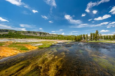 Firehole nehir Yellowstone Milli Parkı'nda, bisküvi Basi