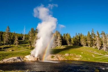 Riverside Şofben Yellowstone Milli Parkı, Wyoming, ABD Firehole Nehri üzerinde patlama