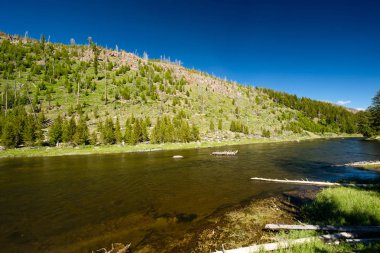 West Yellowstone yakınlarındaki Madison River, Yellowstone Ulusal Parkı, Wyoming, ABD