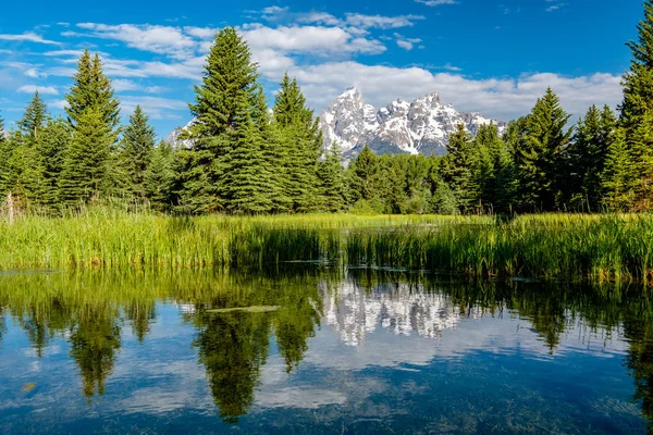 지점에 그랜드티턴 아침에 스네이크 있습니다 Grand Teton National Park Wyoming — 스톡 사진