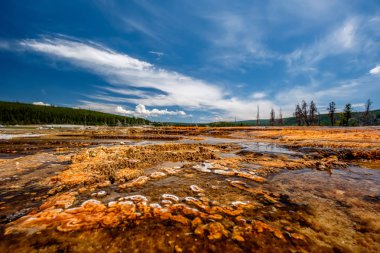 Hot thermal spring Black Opal Pool in Yellowstone National Park, Biscuit Basin area, Wyoming, USA clipart