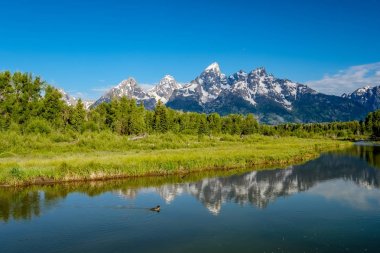 Grand Teton Dağları Schwabacher'ın açılış Snake Nehri'nde sabah. Grand Teton Milli Parkı, Wyoming, ABD.