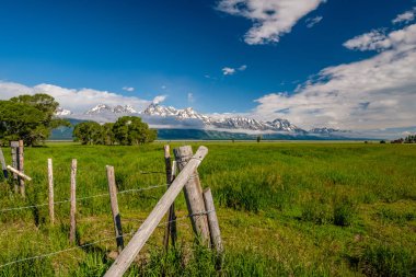 Güzel manzara Grand Teton Milli Parkı, Wyoming, ABD.