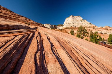 Utah, ABD 'deki Zion Ulusal Parkı' ndaki kaya oluşumlarıyla manzara