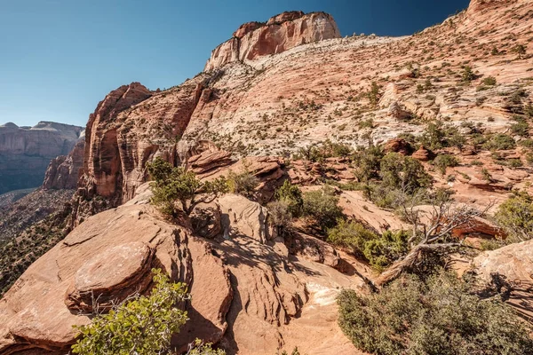 Tájkép Sziklaformációkkal Zion Nemzeti Parkban Utah Usa — Stock Fotó