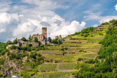 Gutenfels (Caub) Kalesi ve üzüm bağları Ren Vadisi (Ren Gorge), Kaub, Almanya yakın. Yerleşik 1220.