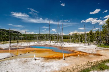 Kaplıca altındaydı havuzu Yellowstone Milli Parkı'nda, siyah kum Havza alanı, Wyoming, ABD sıcak