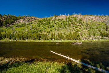 West Yellowstone yakınlarındaki Madison River, Yellowstone Ulusal Parkı, Wyoming, ABD