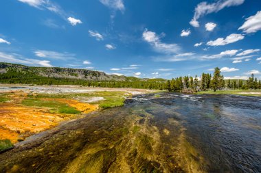 Firehole nehir Yellowstone Milli Parkı'nda, bisküvi Basi