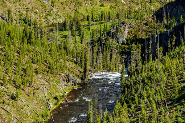 Lava Creek Nel Parco Nazionale Yellowstone Wyoming Stati Uniti — Foto Stock