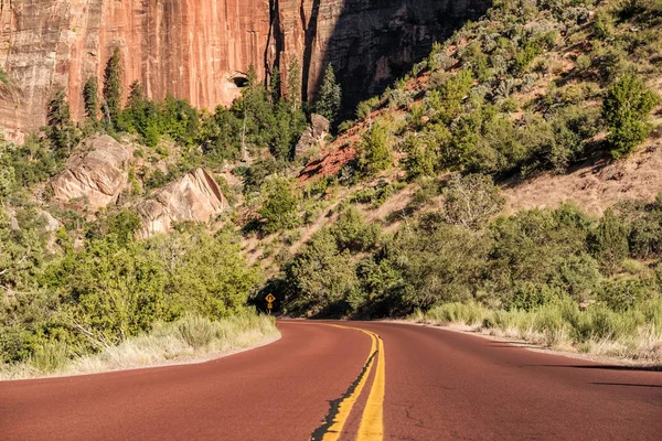 Tomma Natursköna Motorvägen Zion National Park Utah Usa — Stockfoto