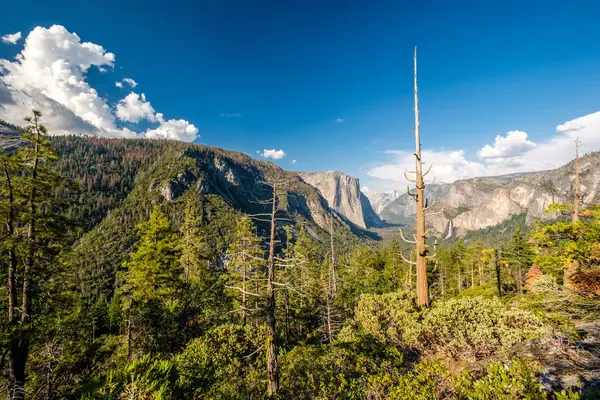 Yosemite National Park Valley Καλοκαιρινό Τοπίο Καλιφόρνια Ηπα — Φωτογραφία Αρχείου