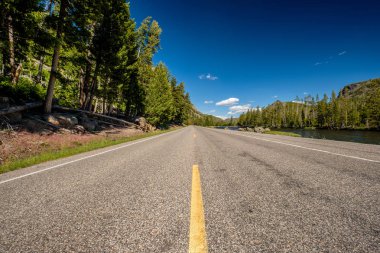 Yellowstone Ulusal Parkı Otoyolu, Wyoming, ABD