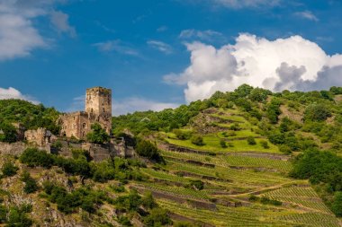 Gutenfels (Caub) Kalesi ve üzüm bağları Ren Vadisi (Ren Gorge), Kaub, Almanya yakın. Yerleşik 1220.